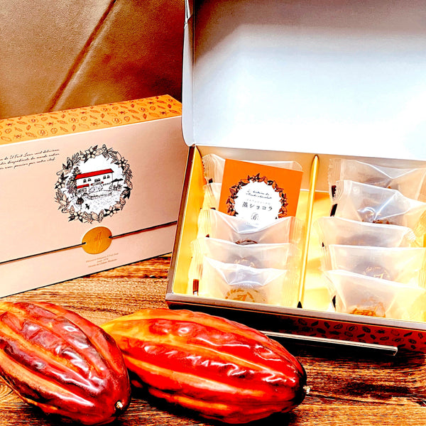 FREE SHIP! Il Fait Jour Chocolate Baked & Steamed Sweets Made in Japan - Kawasaki City Store