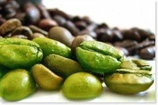 Aono coffee Green Coffee Organic Arabica Beans (medium roasted) extract for instant use 30g JAPAN - Kurumira Shop