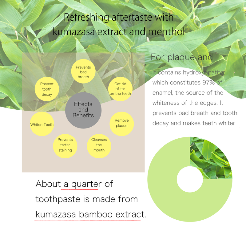 FREE SHIP! Daiwa BRI Kumazasa Natural Toothpaste 80g - Made with Japanese Herb (Kumasasa), Similar to Matcha  - Made in JAPAN - Kawasaki City Store