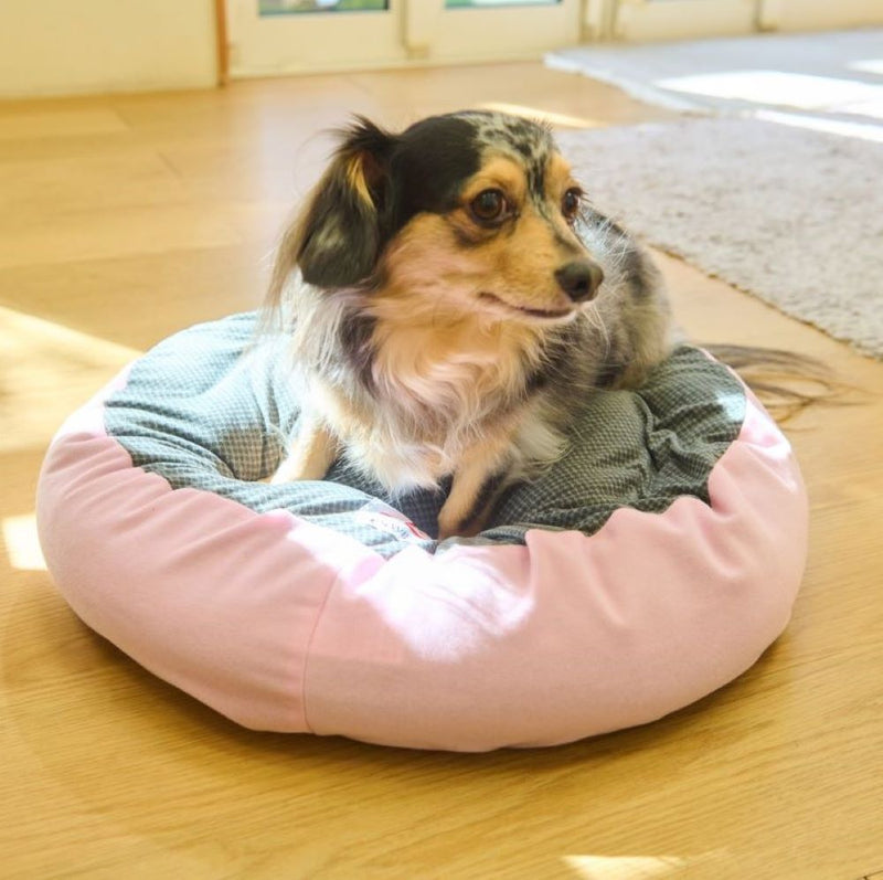 Terra Pet Cool Bed Cover health and comfort cooling effects Made in JAPAN -Kurumira Shop