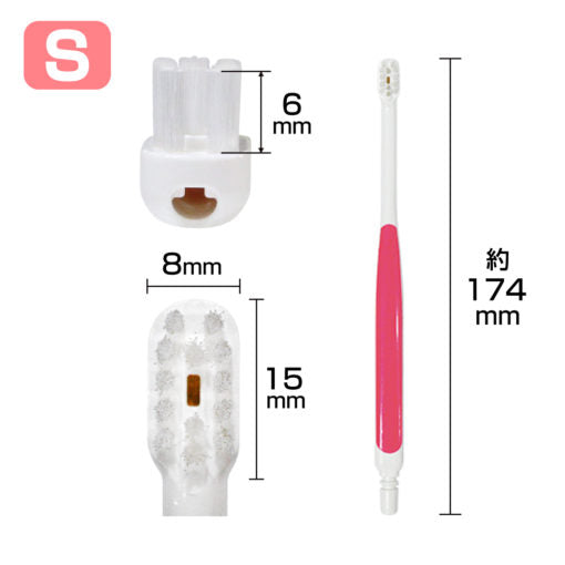 Suction Toothbrush "Cutecht" Pack of 3 Made in JAPAN -Kurumira Shop