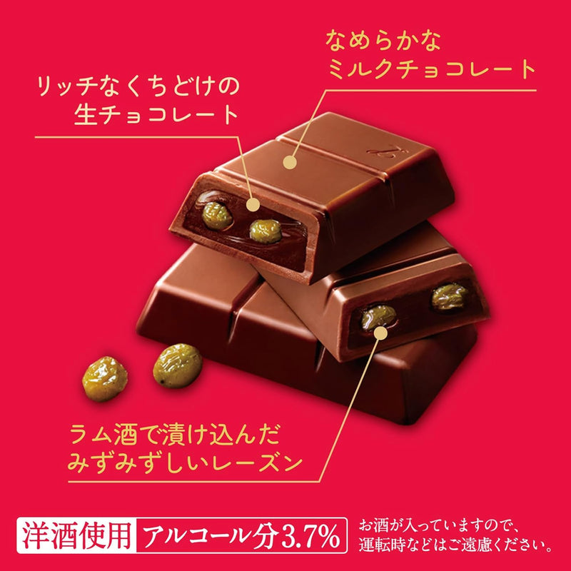 LOTTE Rummy Chocolate 3 pieces in a pack (only winter season) Made in JAPAN - Tokyo Snack Land