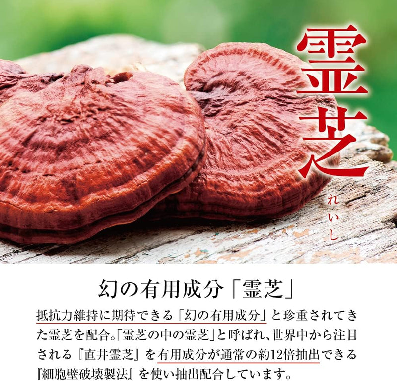 Special Sale! Blessings of Soft-Shelled Turtle Vital Energy Supplement (1 Month Supply 93 Tablets) Made in JAPAN - Tokyo Sakura Mall