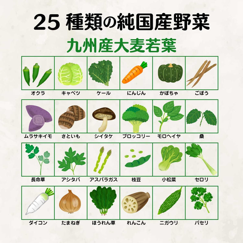 Kin no Aojiru NIHON YAKKEN Powder 25 Types Pure JAPAN Vegetables (65 Packs) - Tokyo Sakura Mall