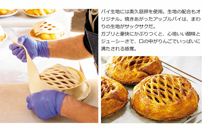 Handmade Apple Pie by Fujita Kanko Apple Orchard, Ibaraki Japan (Whole Size 18cm) - Kurumira Shop