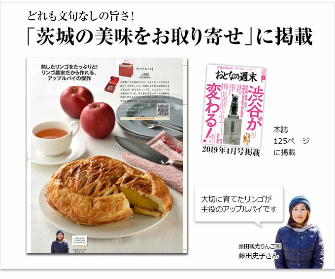 Handmade Apple Pie by Fujita Kanko Apple Orchard, Ibaraki Japan (Whole Size 18cm) - Kurumira Shop