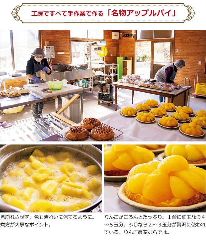 Handmade Apple Pie by Fujita Kanko Apple Orchard, Ibaraki Japan (Whole Size 18cm) - Kurumira Shop