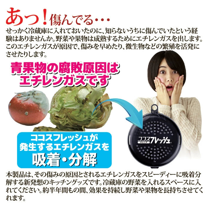 GOTO Cocos Fresh Junior Refrigerator Container – Keep Vegetables Fresher for Longer! JAPAN - Tokyo Sakura Mall