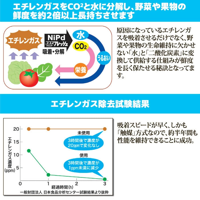 GOTO Cocos Fresh Junior Refrigerator Container – Keep Vegetables Fresher for Longer! JAPAN - Tokyo Sakura Mall