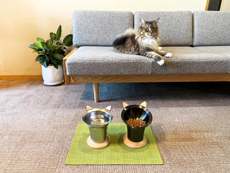 Sano Design Re-shibo Pet food bowl Cat Dog Kawasaki City Store Japan