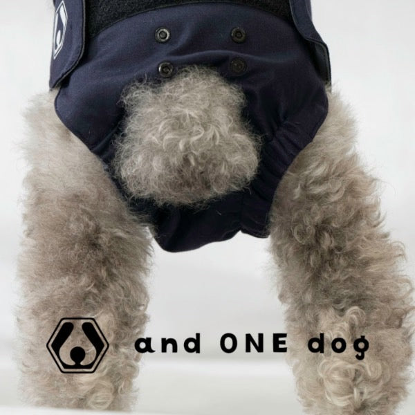 Manners pants for small dogs-  Gunma Store Japan