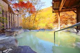 Bub Medica 24 Tablets High-Concentration Carbonic Acid Bath Tablets Hot Spring Onsen Ingredients JAPAN - Tokyo Sakura Mall