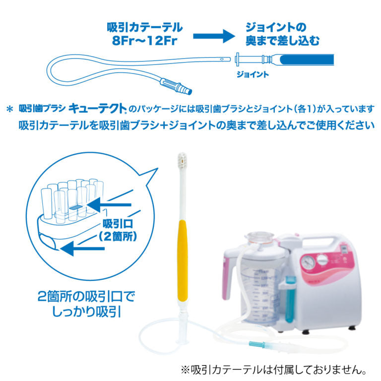 Suction Toothbrush "Cutecht" Pack of 3 Made in JAPAN -Kurumira Shop