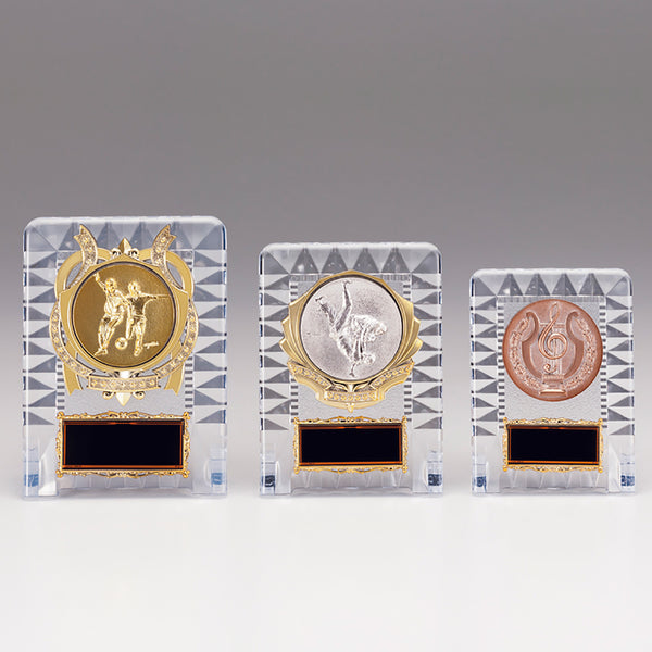 Choose from 189 Designs! BISODOU Original Transparent Acrylic Shield Trophies - Kurumira Shop