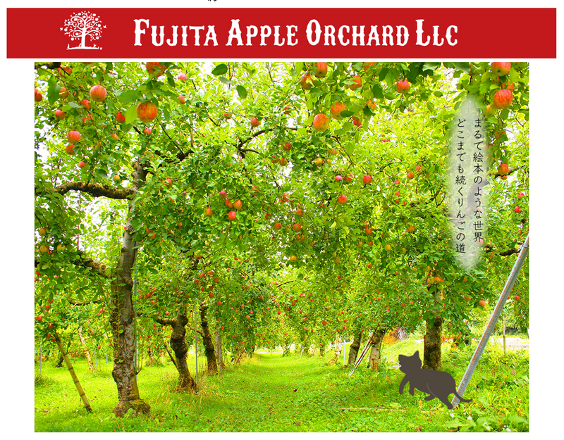 Premium Apple Juice Gift Set (3 Bottles, 460ml each) by Fujita Kanko Apple Orchard, Ibaraki Japan - Kurumira Shop